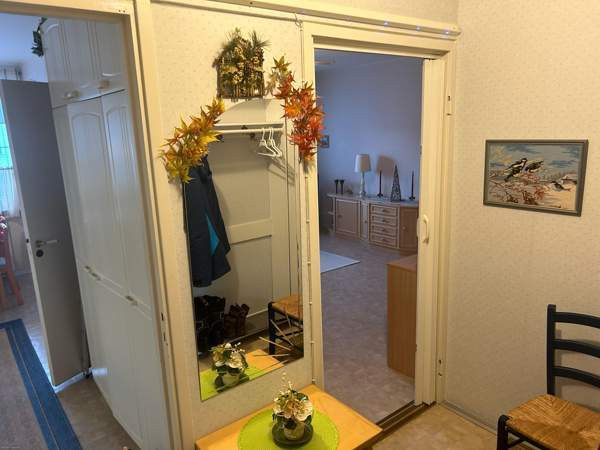 1h + k  Lievestuore - valokuva 4
