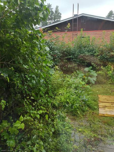 2h + avok  Joensuu - photo 8