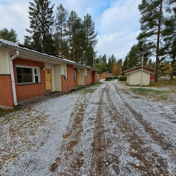 19h + s  Butterworth - valokuva 2