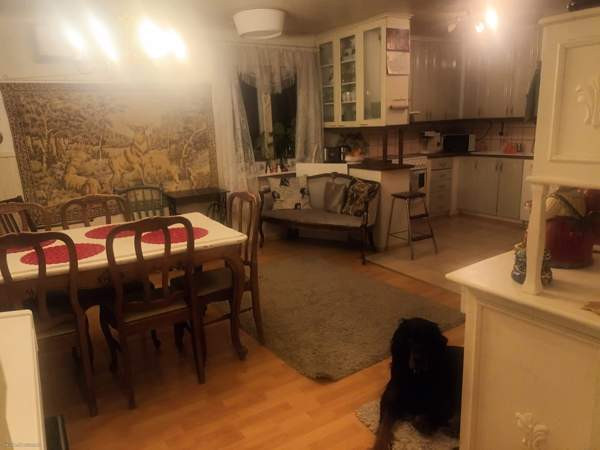 3h + k  Rautavaara – foto 5