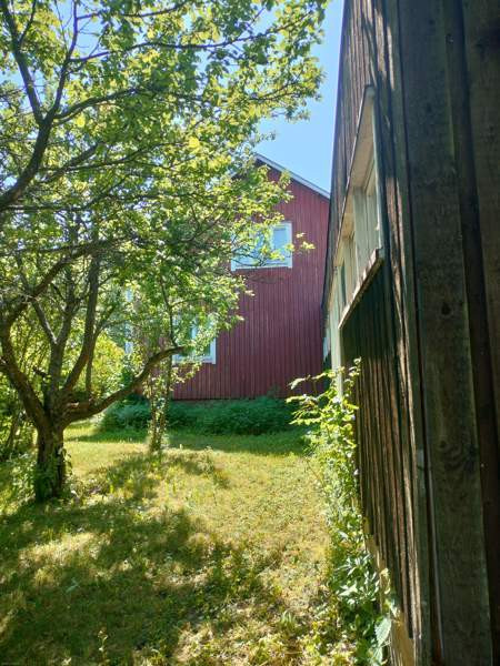 10h + k  Sarov – foto 4