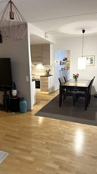 3h + k + s +vt +2wc+ terassi  Muurame - photo 4