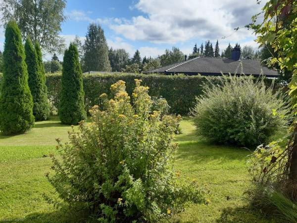 4h + k  Ювяскюля - изображение 3