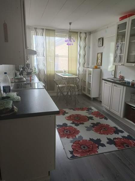 4h + k + s  Kemin – foto 4