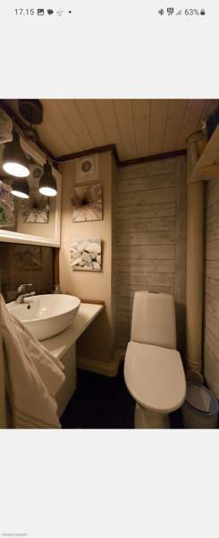 4h + k + s  Äänekoski - photo 6