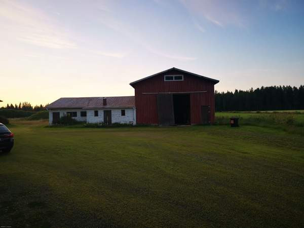 5h + k + s  Syevyerodonets'k - valokuva 6