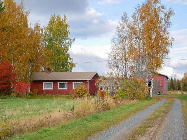 5h + k + s  Syevyerodonets'k - valokuva 3