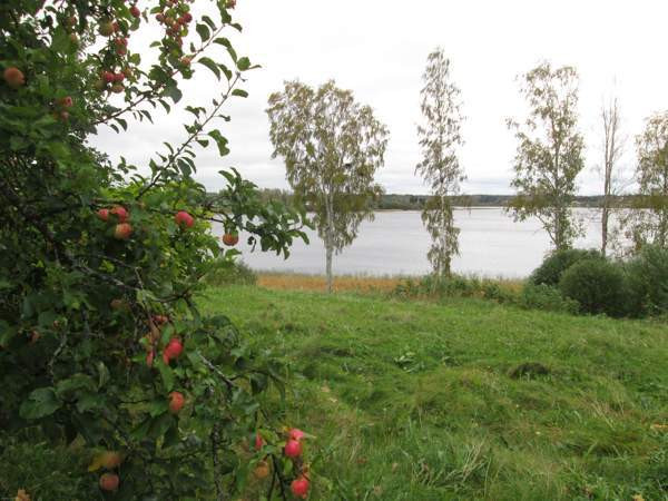 Olohuone, keittiö, 4 makuuhuonetta, kodinhoito huo  Haapavesi – foto 6
