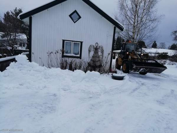 4h  Zaporiz'ka Oblast' - valokuva 4