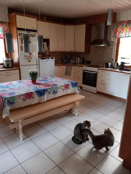 6h+k+kph+2wc+s  Juuka - valokuva 2