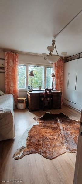 4h + k + s  Kaarina - photo 3