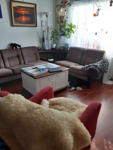 1h + k  Lapinlahti – foto 6