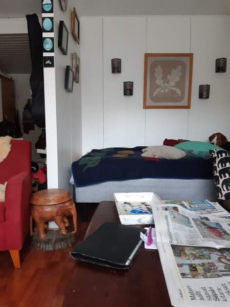 1h + k  Lapinlahti – foto 3