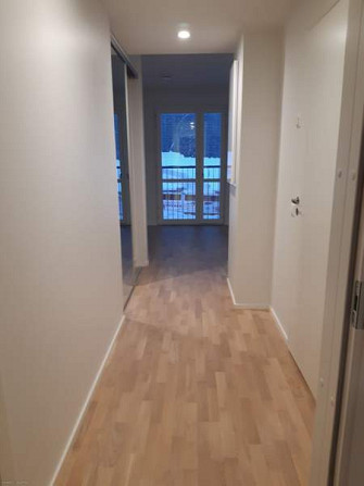 1h  Jyvaeskylae – foto 4