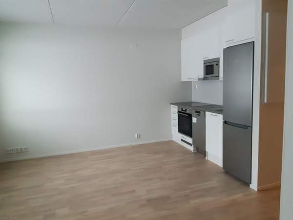 1h  Jyvaeskylae - photo 3