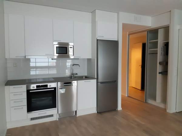 1h  Jyvaeskylae - photo 1