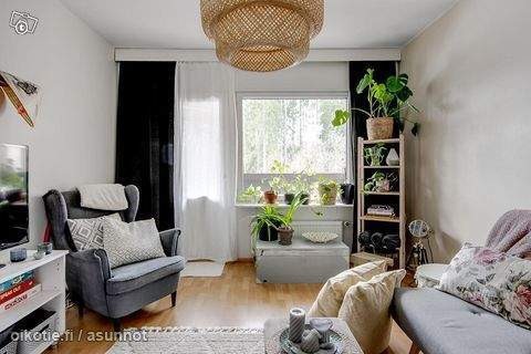 2h + k + p  Hamina - valokuva 5