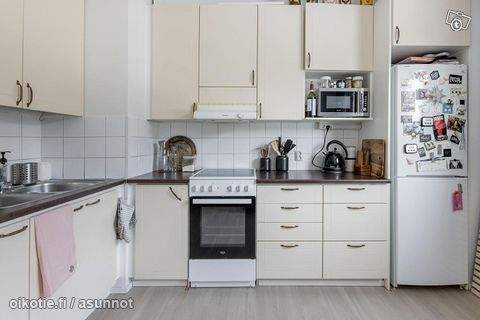 2h + k + p  Hamina - valokuva 4