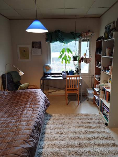 4h + avok  Варкаус - изображение 5