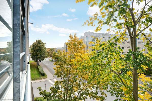 1h + avok + s + p  Turtkul - valokuva 2