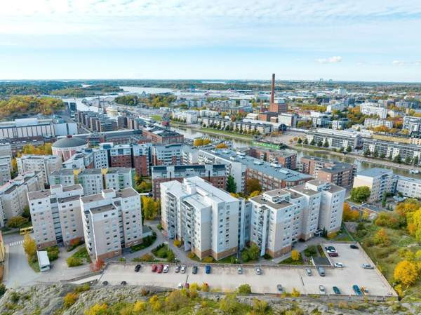 1h + avok + s + p  Turtkul - valokuva 4