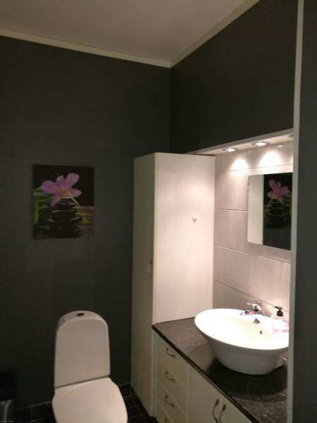 4h + k + s  Äänekoski - photo 8