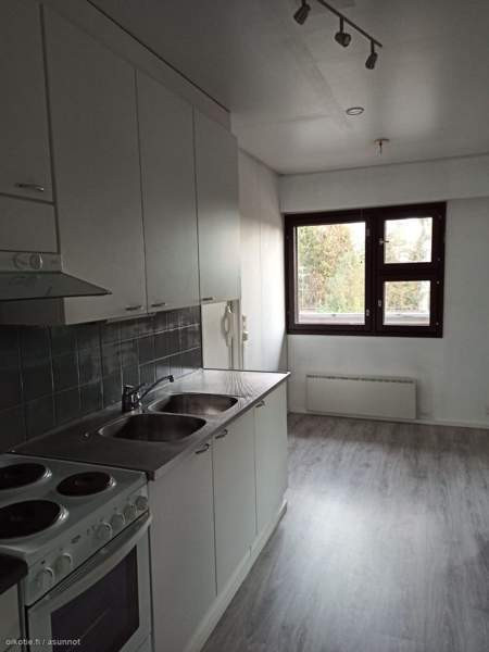 3h + k + s + p  Saarijärvi - photo 4