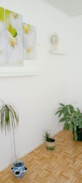 2h  Tuusniemi - valokuva 1