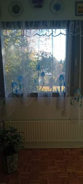 2h  Tuusniemi - valokuva 3