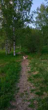 2h + k + p  Imatra