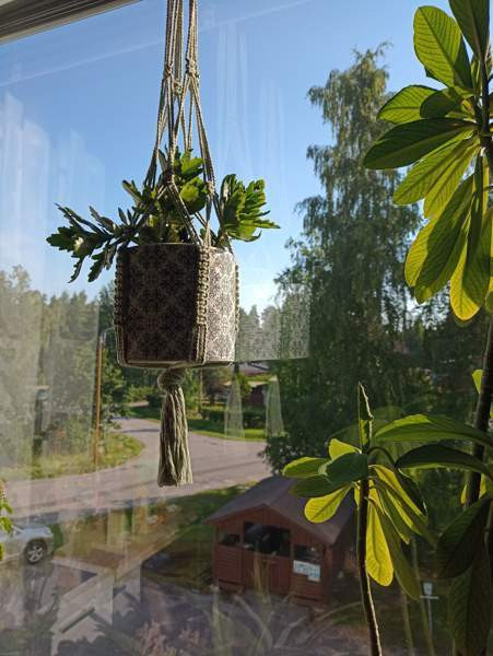 2h + k + p  Imatra - valokuva 7