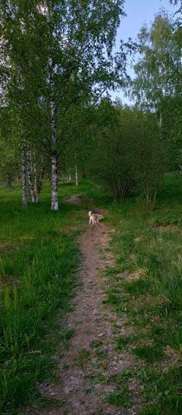 2h + k + p  Imatra - valokuva 6