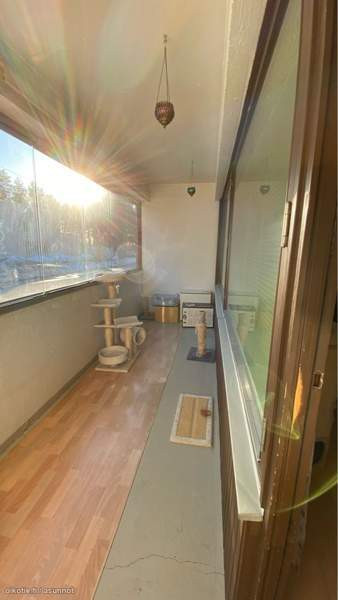 3h + k + p  Lapinlahti - photo 3