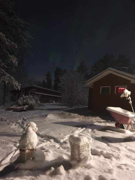 6h + avok + s + p  Kyiv Oblast - valokuva 2