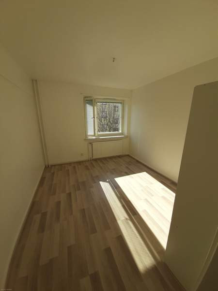 3h + k  Kemin – foto 3