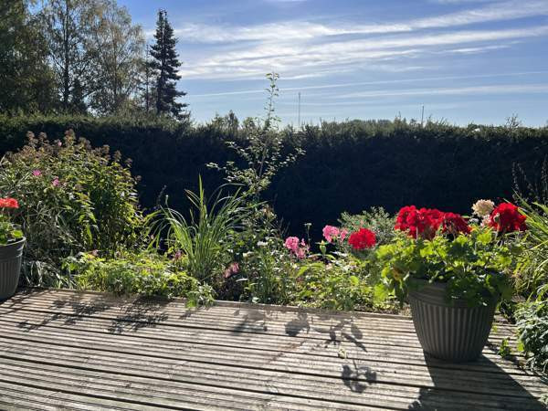 2h + kk + kph  Lohja - photo 7