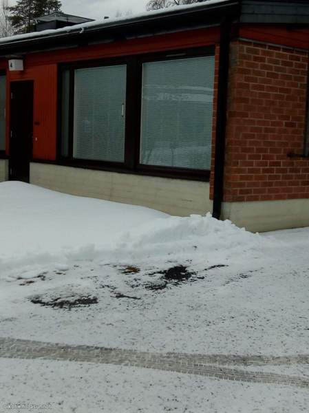 1h + kk  Kitee - valokuva 1