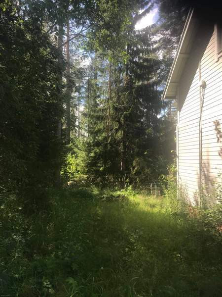 4h + s  Kuopio - valokuva 7