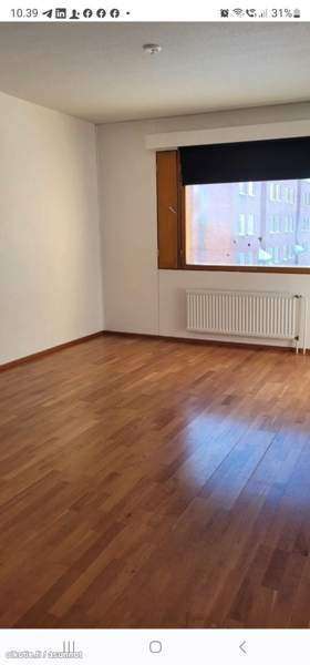 3h + k + s + p  Kemin - valokuva 4