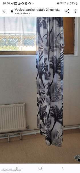 3h + k + s + p  Kemin - valokuva 8