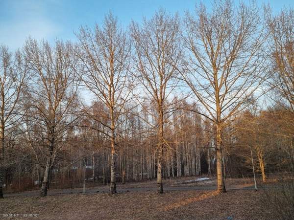 4h + k  Haemeenlinna - photo 2