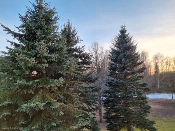 4h + k  Haemeenlinna - photo 1