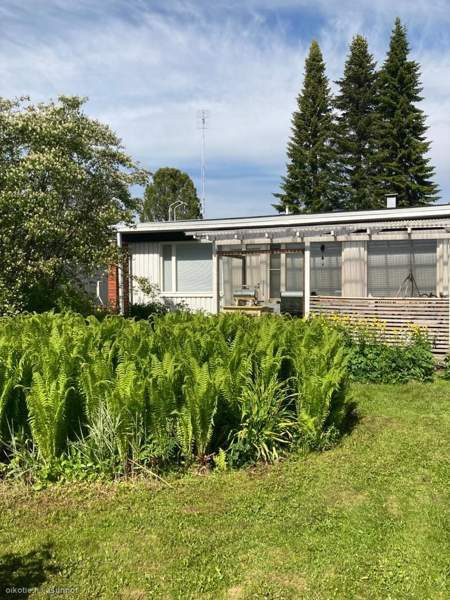 4h + k + s  Kemin - photo 1