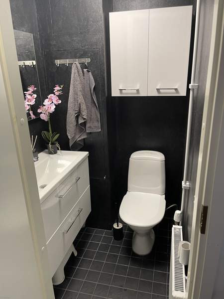 3h + s + p  Klaukkala – foto 5