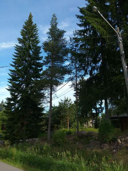 4h + k + s  Chukotskiy Avtonomnyy Okrug – foto 1