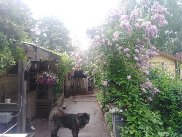 7h + k  Mikkeli - valokuva 3