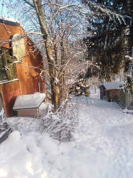 7h + k  Mikkeli - valokuva 4