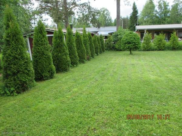 4h + k + s + 2 vaateh.+ ulkovarasto + autotalli  Pieksämäki - photo 3