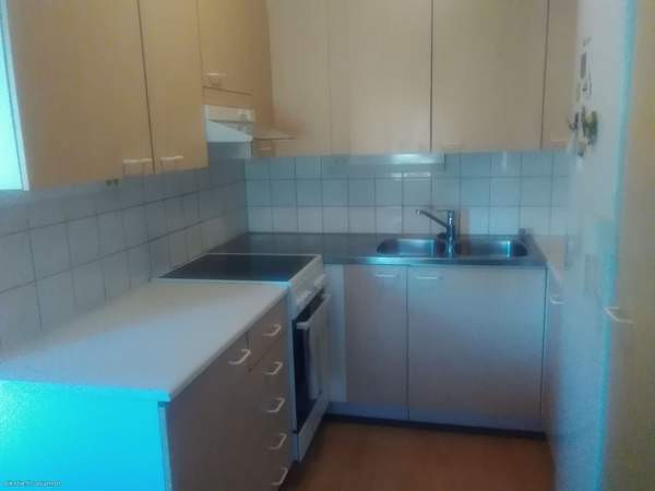 2h + k + s  Tuusniemi - valokuva 5