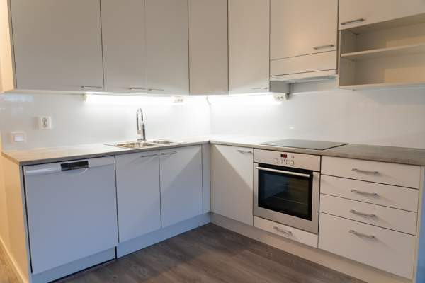 1h + s + p  Vantaa - valokuva 4